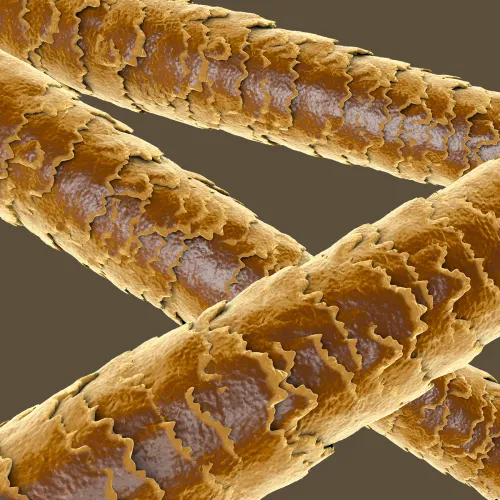 Інгредієнт Keratin IlSaloneDiMilano